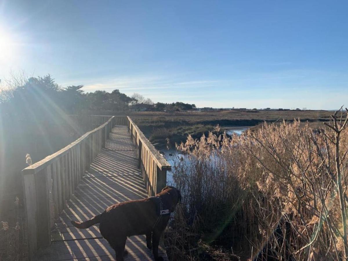 Les Gites Du Canal Gujan-Mestras Bagian luar foto